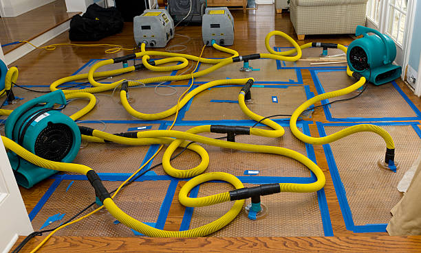 Professional Crawl Space Water Removal technician working in East Baldwin, ME